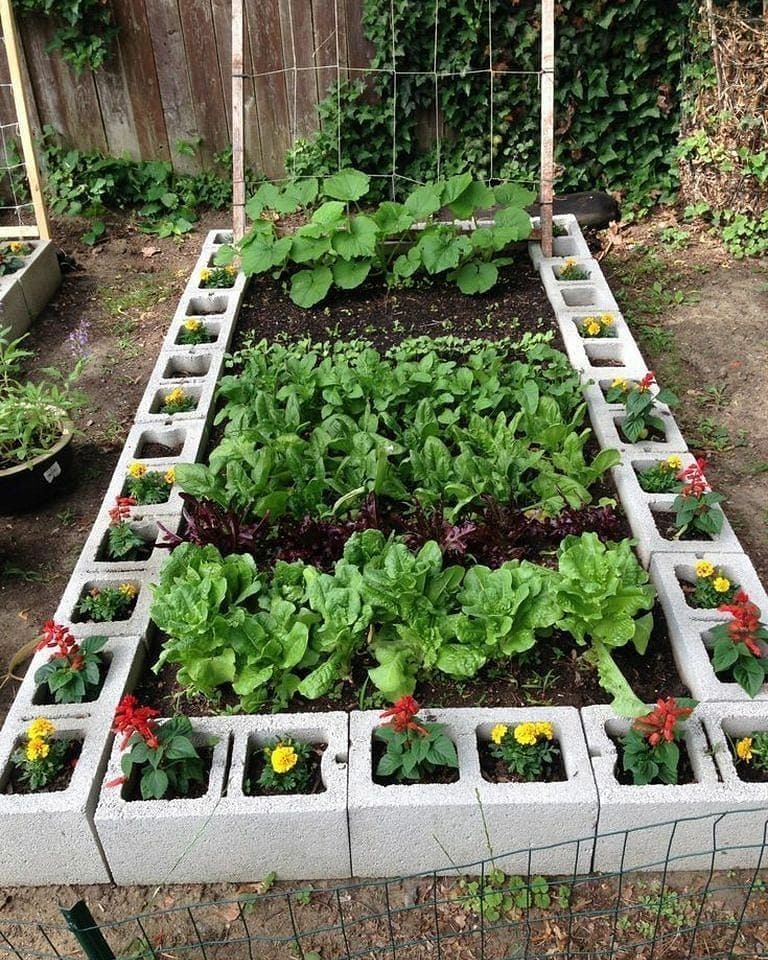 Horta em blocos de concreto
