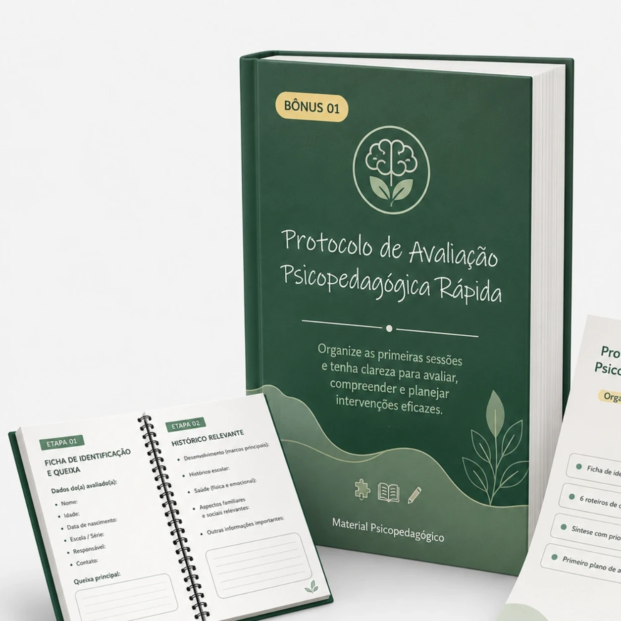 Protocolo de Avaliação Psicopedagógica Rápida